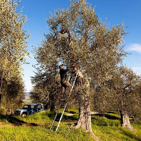 Vitabella Toscana Seggiano