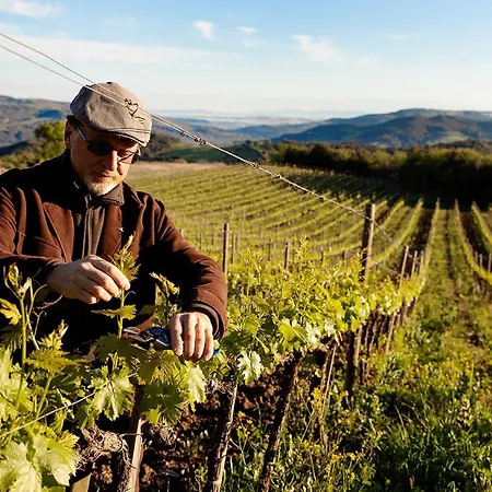 Farm stay Vitabella Toscana *