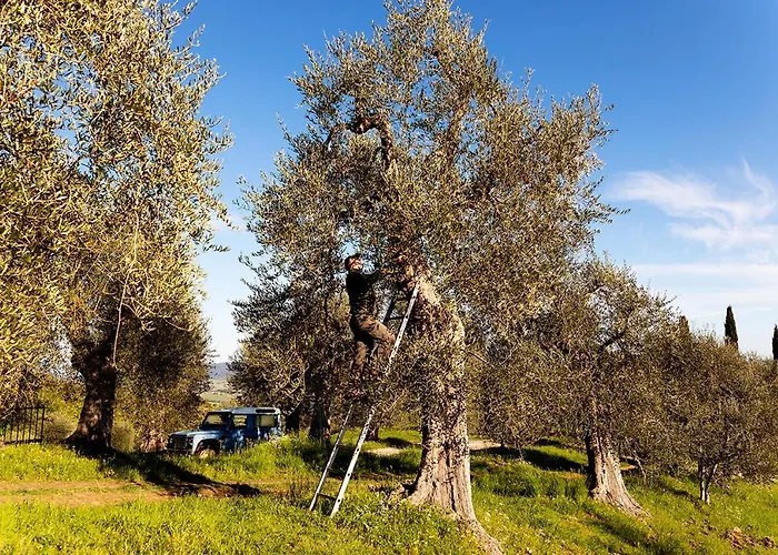 Vitabella Toscana Seggiano