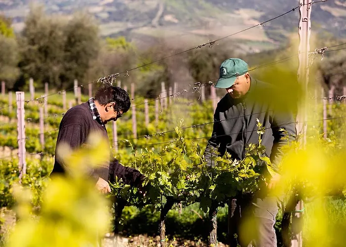 Farmház Vitabella Toscana Seggiano
